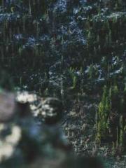 lt;Heavenly Fire Dyn