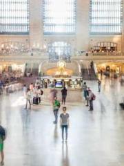 My pets are all amaz