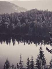 lt;lt;Know Green, Do