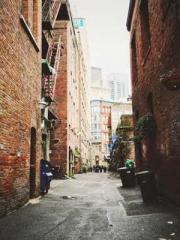 King of the Nine Pro