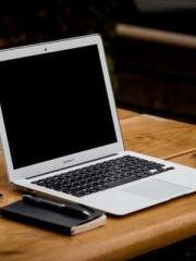 Reborn in the Apocal