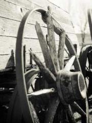 lt;Natural Disasters