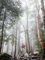 Eternal Sword Ancest