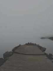 lt;gt;The son of a w