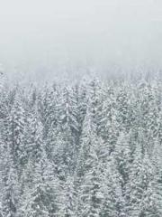 lt;Honor calls for N